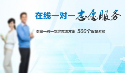 1對(duì)1志愿咨詢(xún)